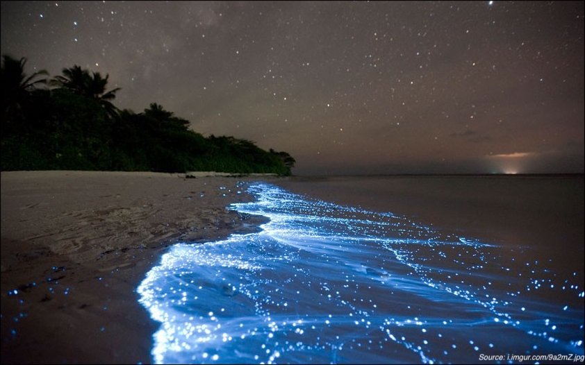 Sea of Star, Vaadhoo Island (Maldives)